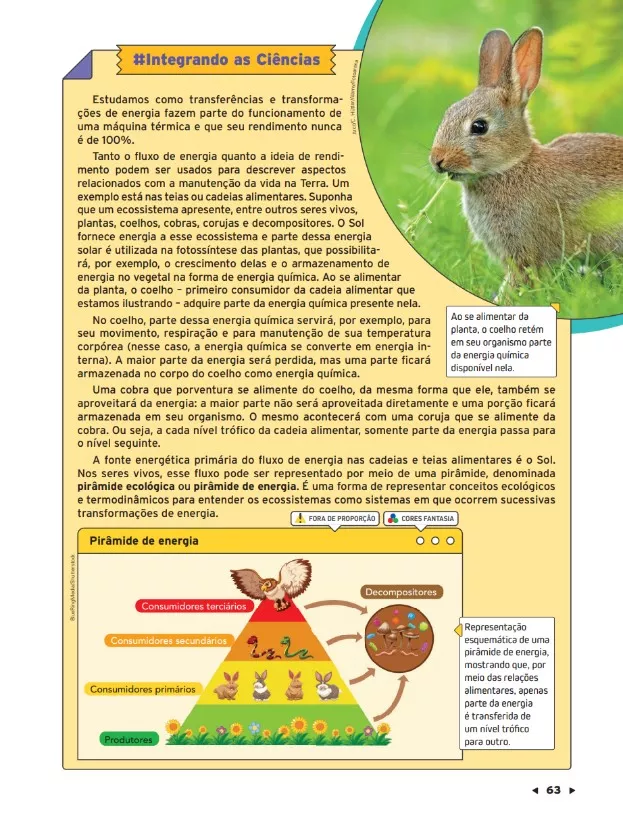 Livro #Sou+Ciências 7º ano pág. 63