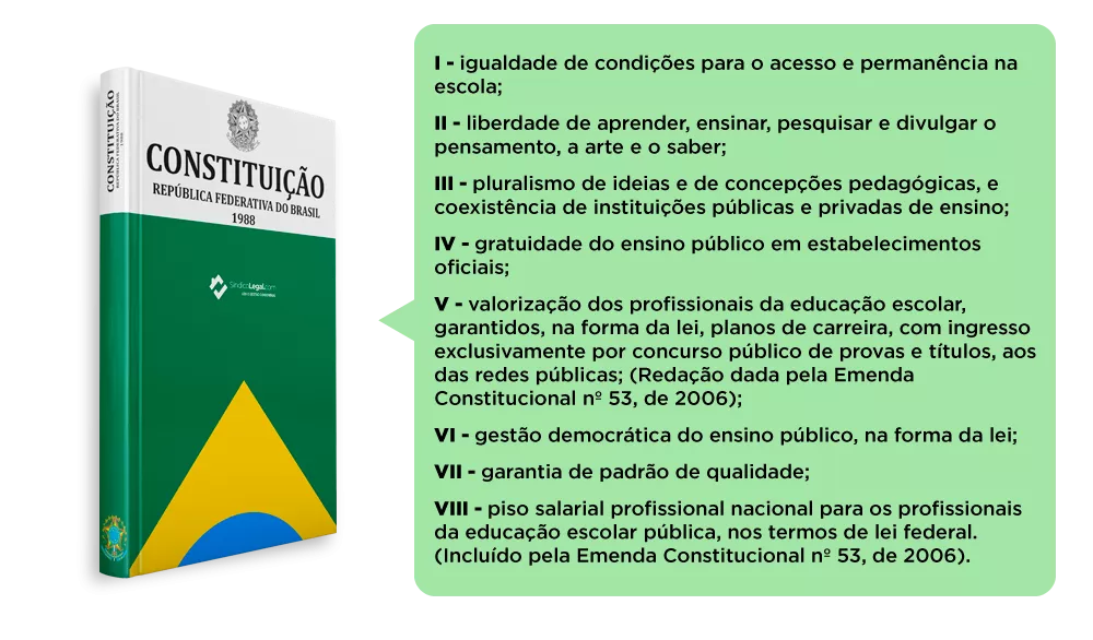 dia do estudante direitos pela constituição